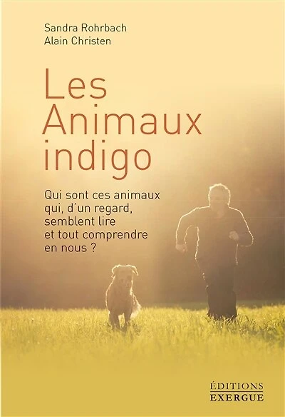Les animaux indigo: qui sont ces qui, d'un regard, semblent lire et tout comprendre en nous ?