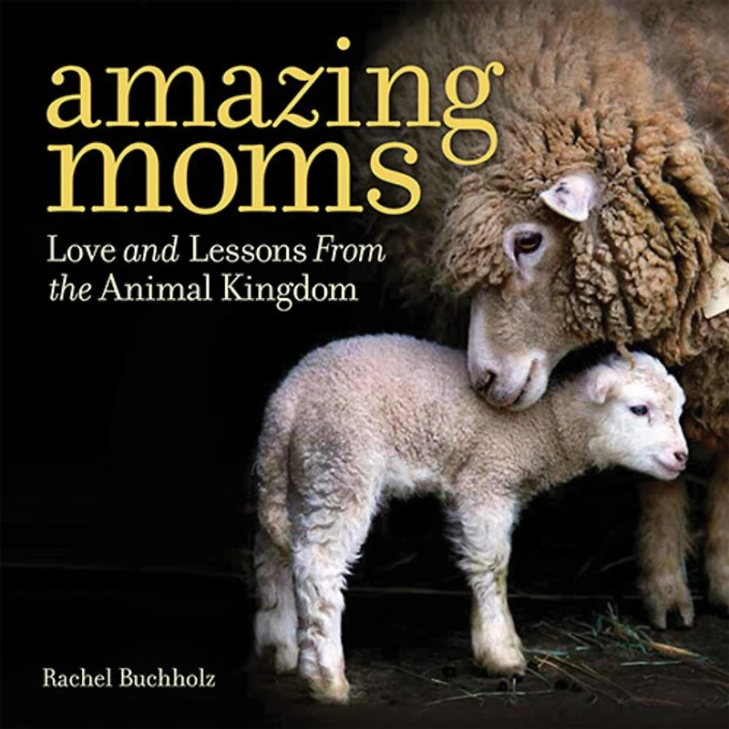 Amazing Moms: Love And Lessons From The Animal Kingdom