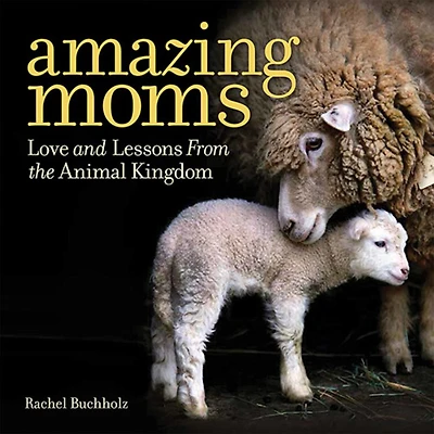 Amazing Moms: Love And Lessons From The Animal Kingdom