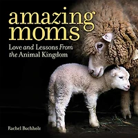 Amazing Moms: Love And Lessons From The Animal Kingdom
