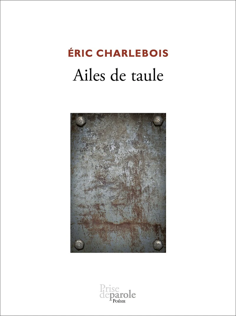 Ailes de taule
