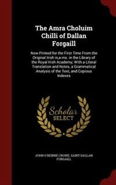 the Amra Choluim Chilli of Dallan Forgaill: now printed for first time from original Irish in, a ms. library Royal academy; with literal translation and notes, grammatical analysis text, copious indexes