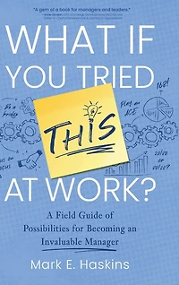 What If You Tried This At Work: A Field Guide of Possibilities for Becoming an Invaluable Manager