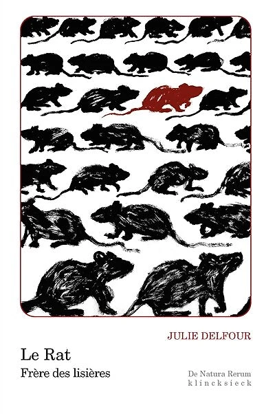 Le rat: frère des lisières