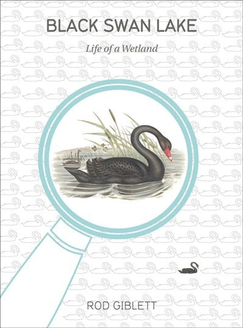 Black Swan Lake: Life Of A Wetland