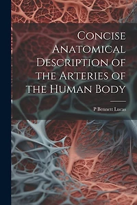 Concise Anatomical Description of the Arteries of the Human Body