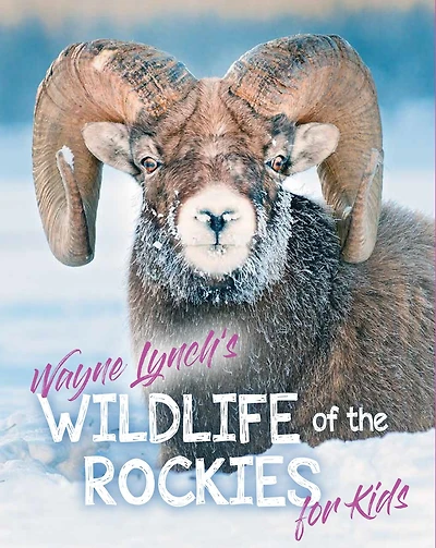 Wildlife Of The Rockies For Kids