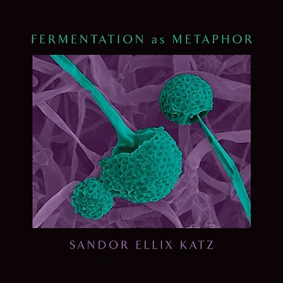 Fermentation as Metaphor: From The Author of Bestselling Art