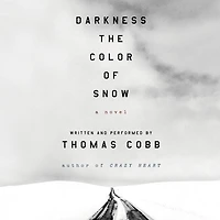 Darkness the Color of Snow: A Novel