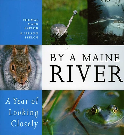 By A Maine River: A Year Of Looking Closely