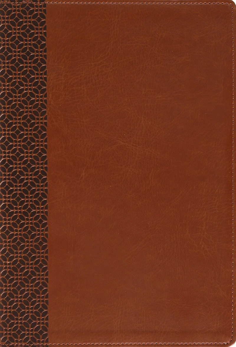 Amplified Holy Bible, Large Print, Leathersoft, Purple: Captures the Full Meaning Behind Original Greek and Hebrew