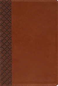Amplified Holy Bible, Large Print, Leathersoft, Purple: Captures the Full Meaning Behind Original Greek and Hebrew