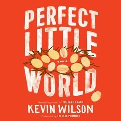 Perfect Little World: A Novel
