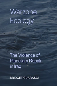 Warzone Ecology: The Violence of Planetary Repair Iraq
