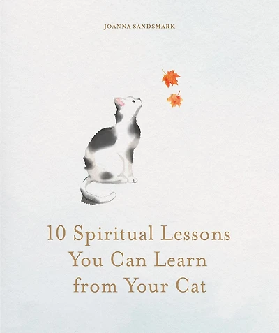 10 Spiritual Lessons You Can Learn From Your Cat: Essential Life We Our Furry Friend
