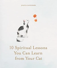 10 Spiritual Lessons You Can Learn From Your Cat: Essential Life We Our Furry Friend