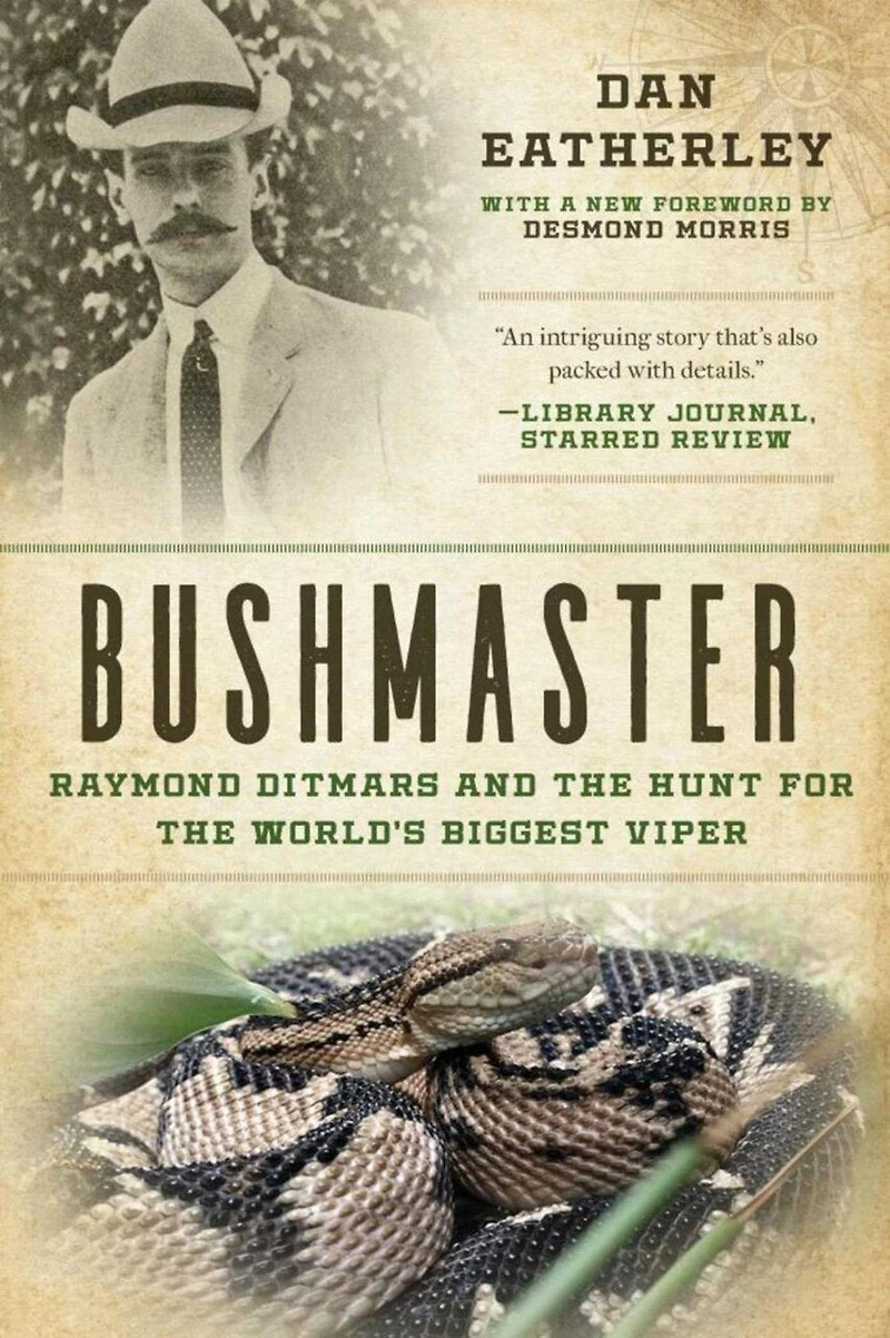 Bushmaster: Raymond Ditmars and the Hunt for World's Largest Viper