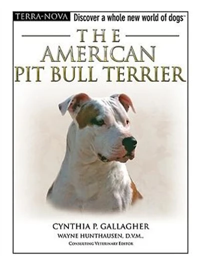 American Pit Bull Terrier