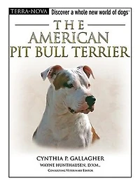 American Pit Bull Terrier