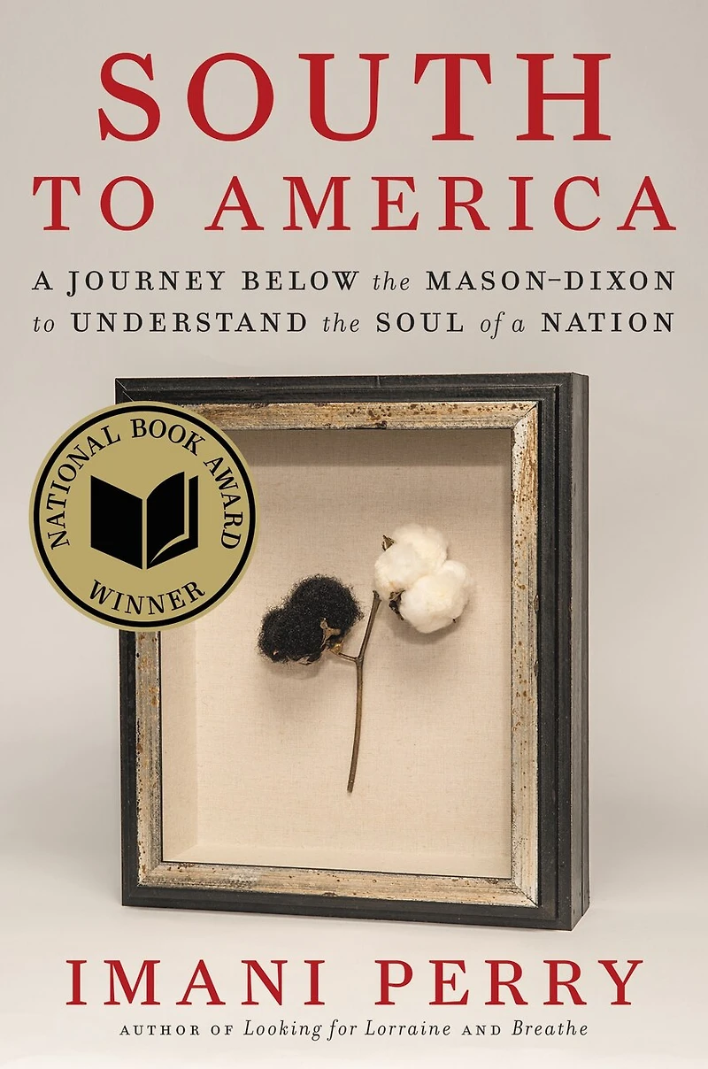South to America: a Journey Below the Mason-Dixon Understand Soul of Nation