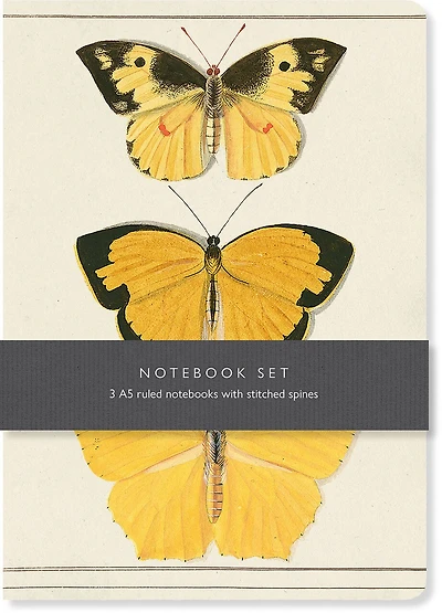 Butterfly Notebook Set: 3 A5 Ruled Notebooks With Stitched Spines
