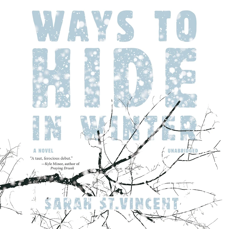 Ways to Hide Winter: A Novel