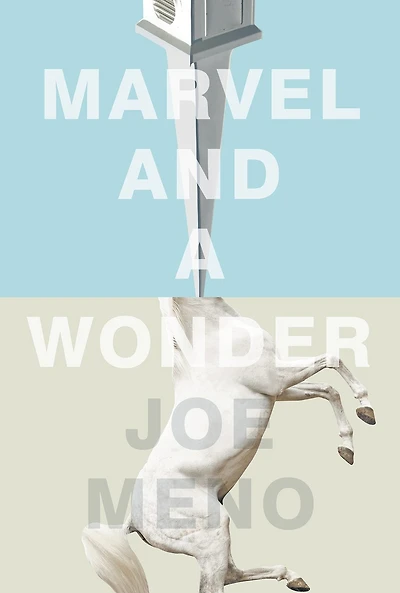 Marvel and a Wonder