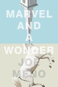 Marvel and a Wonder
