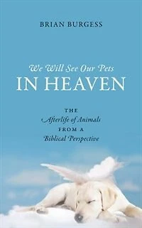 We Will See Our Pets In Heaven: The Afterlife Of Animals From A Biblical Perspective