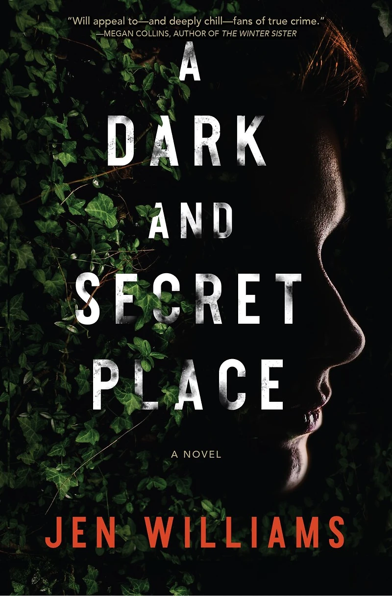 A Dark and Secret Place: Thriller