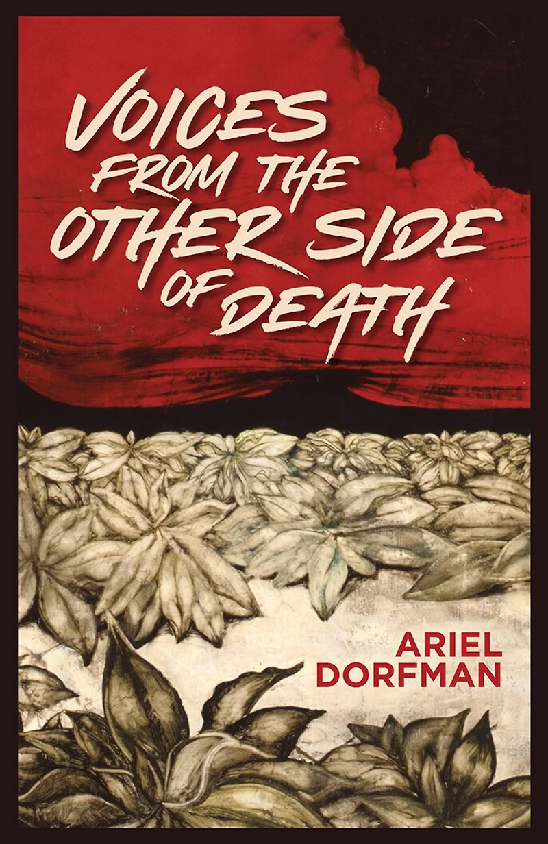 Voices from the Other Side of Death