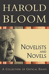 Novelists and Novels: A Collection of Critical Essays