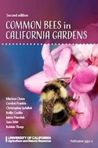 Common Bees in California Gardens