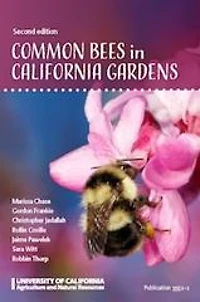 Common Bees in California Gardens