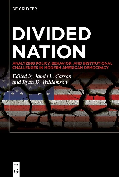 Divided Nation: Analyzing Policy, Behavior, and Institutional Challenges Modern American Democracy