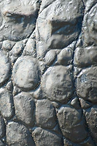 Alive! crocodile skin - Natural and muddy photo art notebooks (5 x 8 series): by photographer Eva-Lotta Jansson