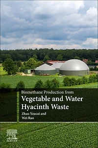 Biomethane Production From Vegetable And Water Hyacinth Waste