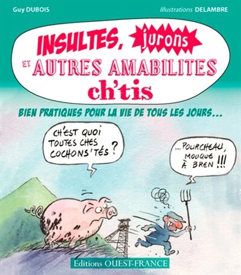 Insultes, jurons et autres amabilités ch'tis: bien pratiques pour la vie de tous les jours...
