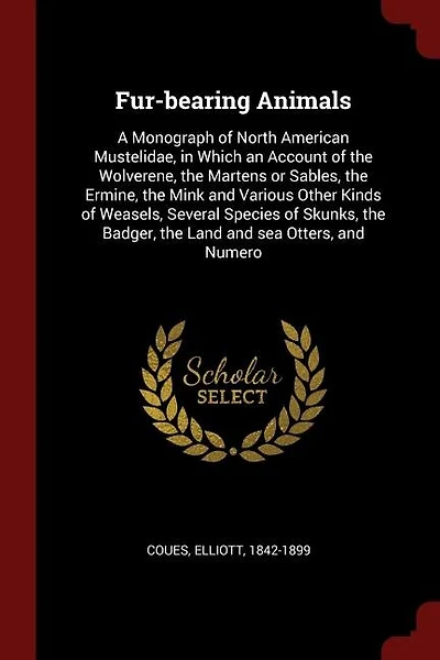 Fur-bearing Animals: A Monograph of North American Mustelidae, in Which an Account of the Wolverene