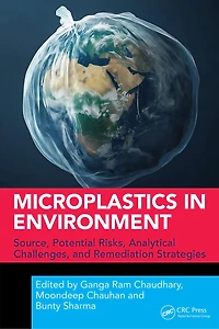 Microplastics Environment: Source, Potential Risks, Analytical Challenges, and Remediation Strategies