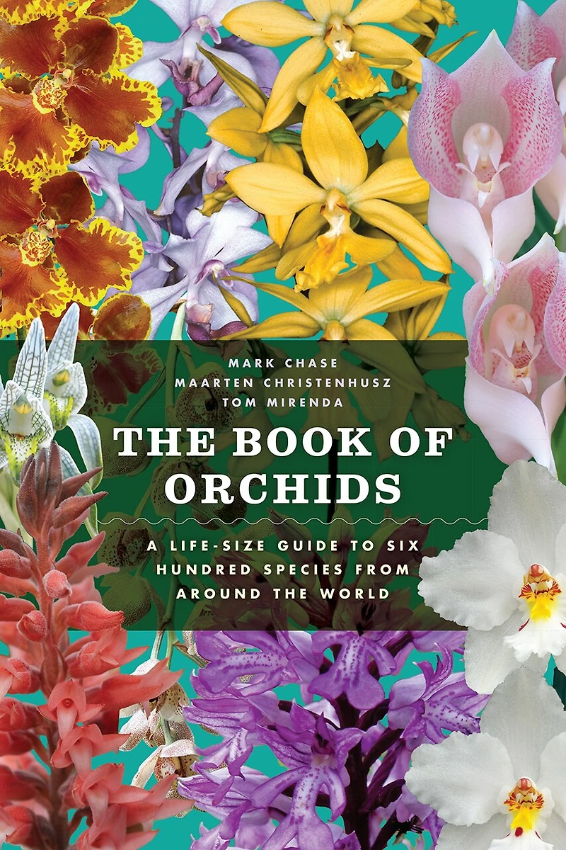 the Book of Orchids: A Life-Size Guide to Six Hundred Species from around World