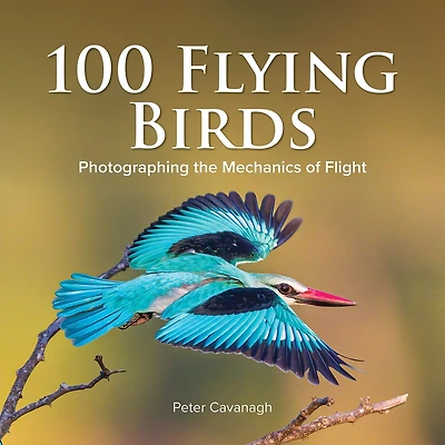 100 Flying Birds: Photographing The Mechanics Of Flight