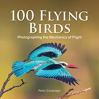 100 Flying Birds: Photographing The Mechanics Of Flight