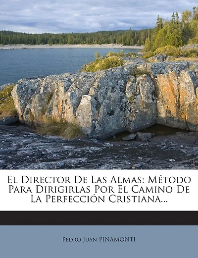 El Director De Las Almas: Método Para Dirigirlas Por El Camino De La Perfección Cristiana...