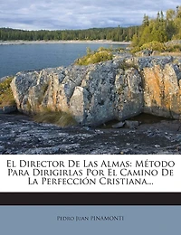 El Director De Las Almas: Método Para Dirigirlas Por El Camino De La Perfección Cristiana...