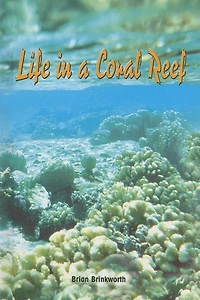 Life In A Coral Reef