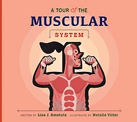 A Tour of the Muscular System