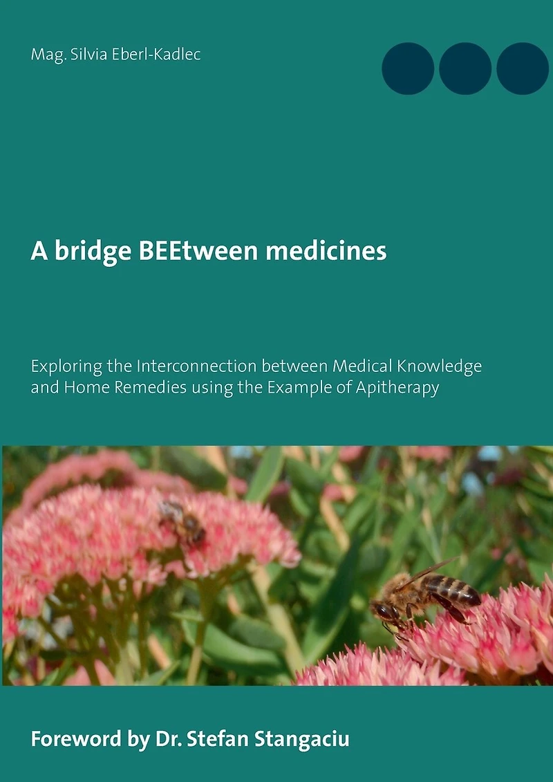 A bridge BEEtween medicines: Exploring the Interconnection between Medical Knowledge and Home Remedies using example of Apitherapy.