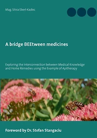 A bridge BEEtween medicines: Exploring the Interconnection between Medical Knowledge and Home Remedies using example of Apitherapy.