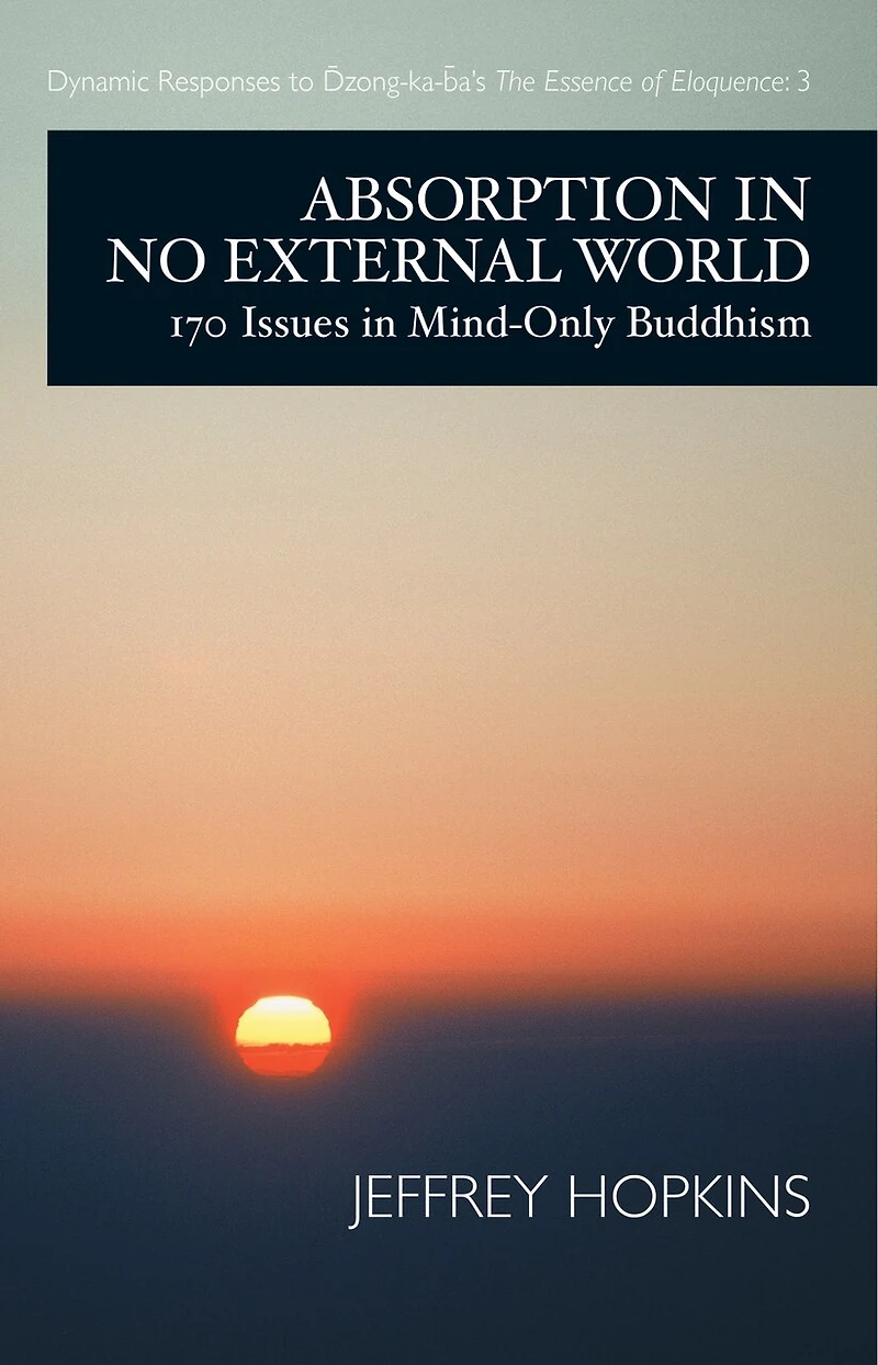 Absorption No External World: 170 Issues Mind-Only Buddhism